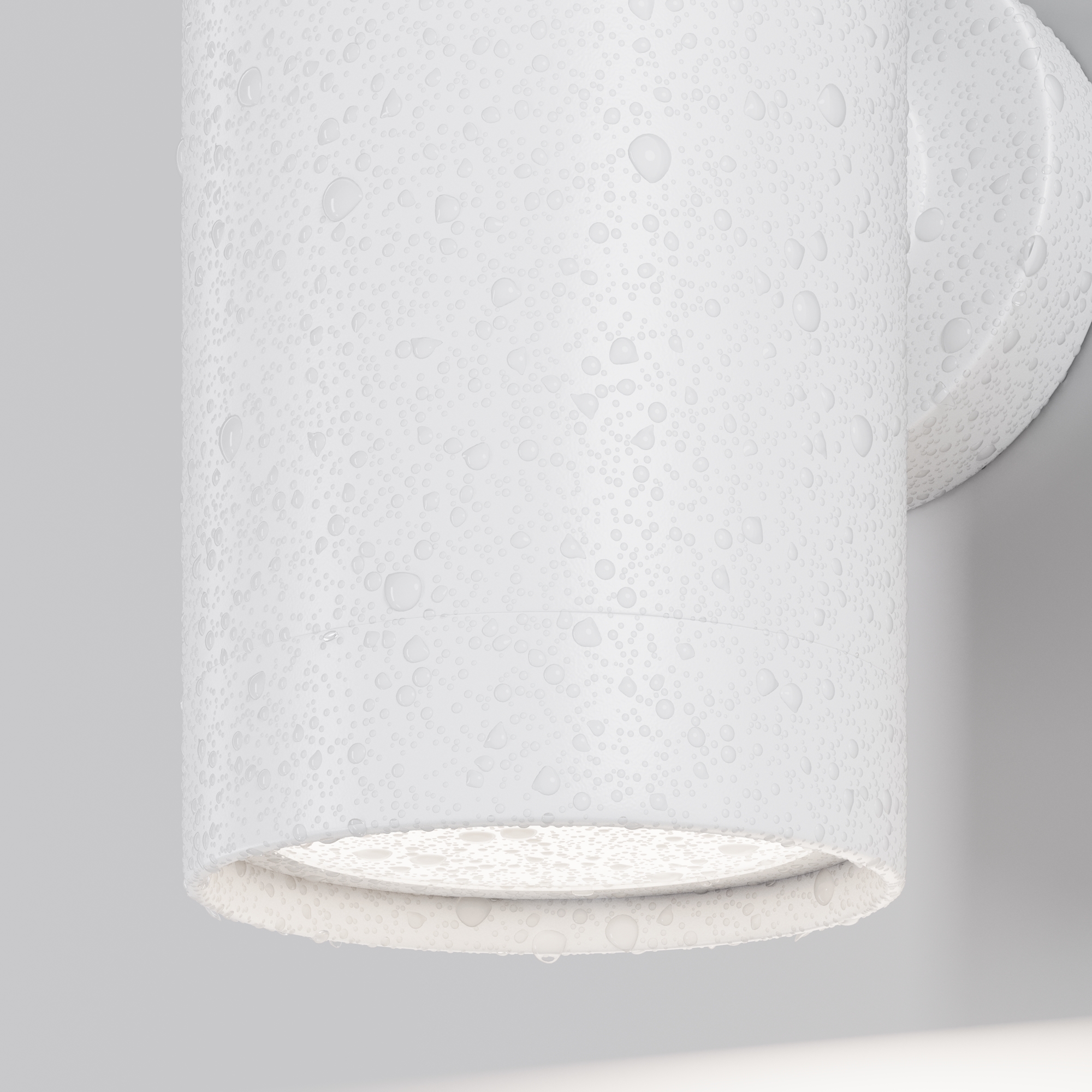 Настенный светильник (бра) Outdoor O493WL-01W