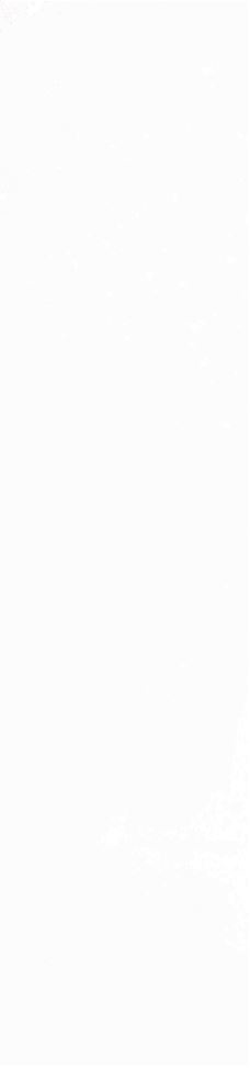 Плитка Magic White 5,85x24