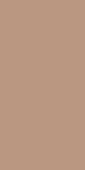 Керамогранит Terracotta Matt Rect 59,8х119,8