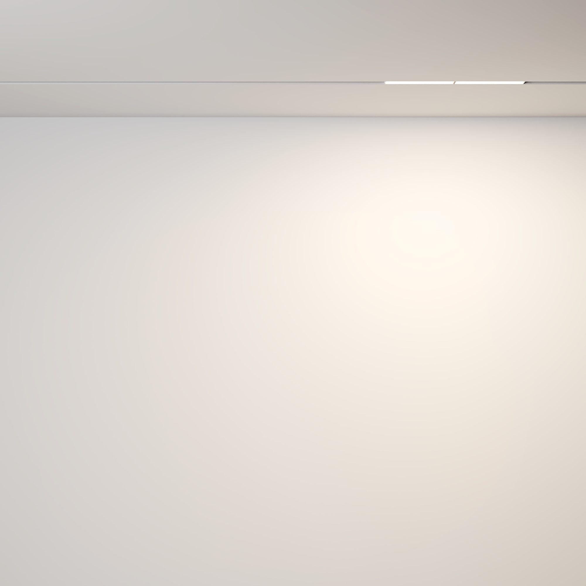 Трековый светильник Technical TR106-2-12W3K-W