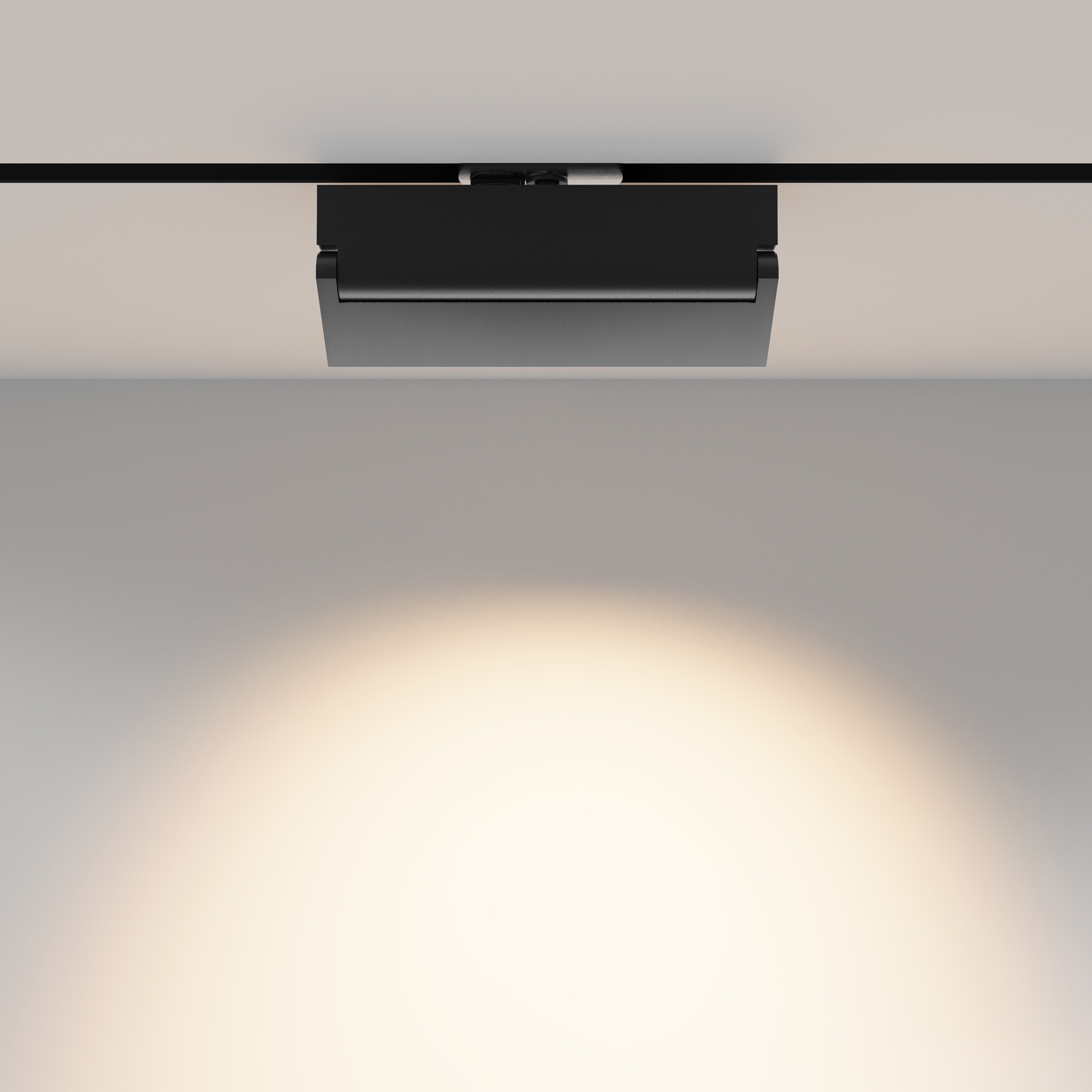 Трековый светильник Technical TR224-1-12WCCT-M-B