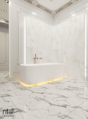 Керамогранит NT CERAMIC Onyx  Majestic NTT995030P