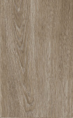 Плитка Misty wood 25х40