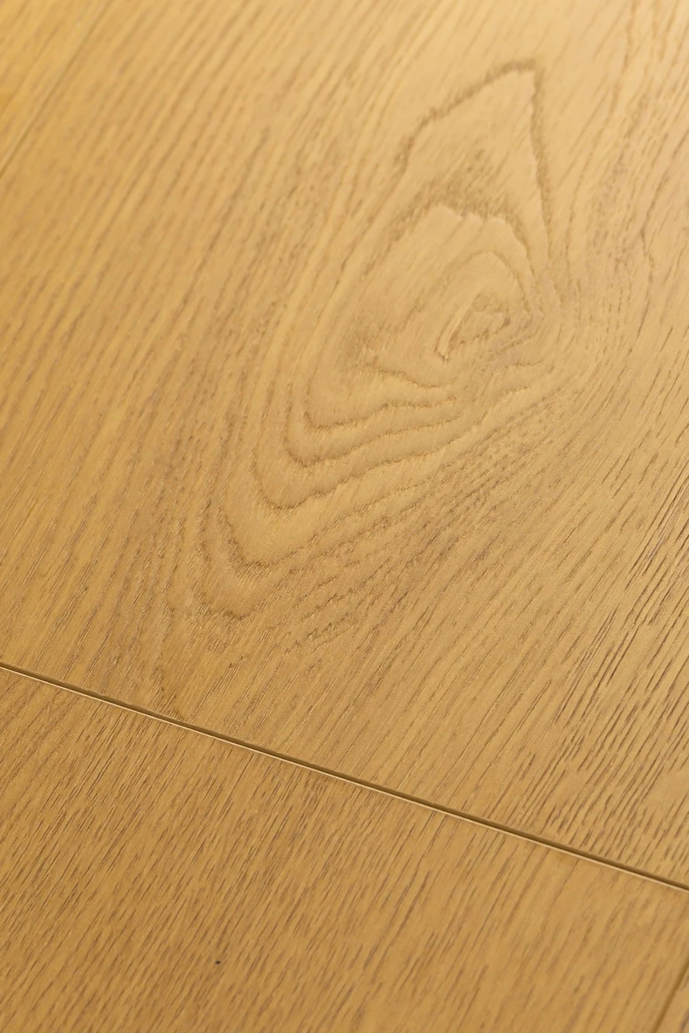 Ламинат Firstfloor PASSION MATT 3D Дуб Элкат 1F322