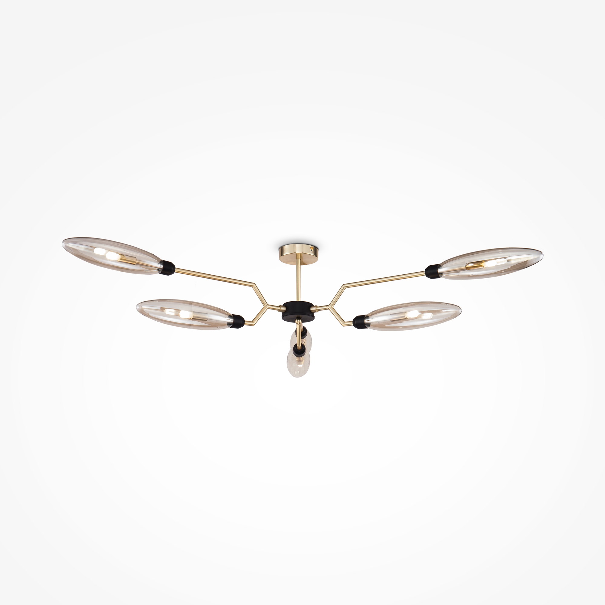 Потолочный светильник Maytoni MOD012CL-06G