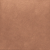 Керамогранит Nisus Coral Rect 120х120
