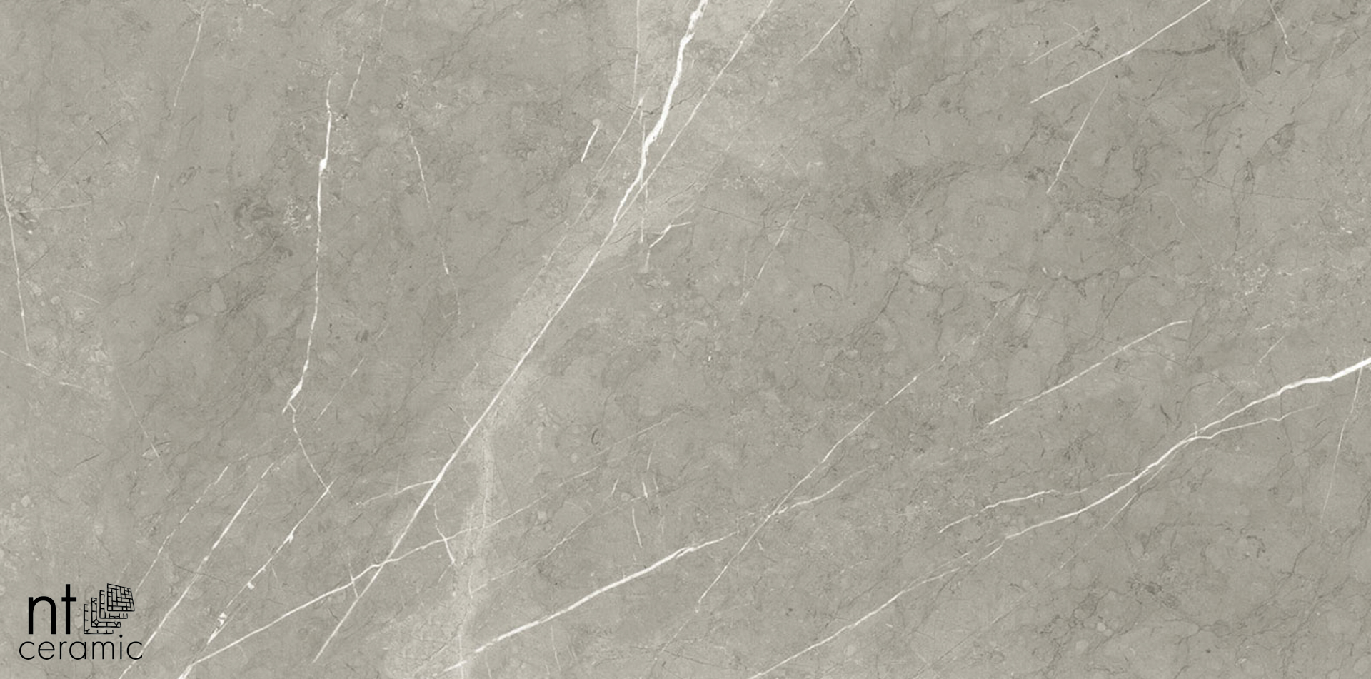 Керамогранит NT CERAMIC Bright and Shiny BB6NTT9102P