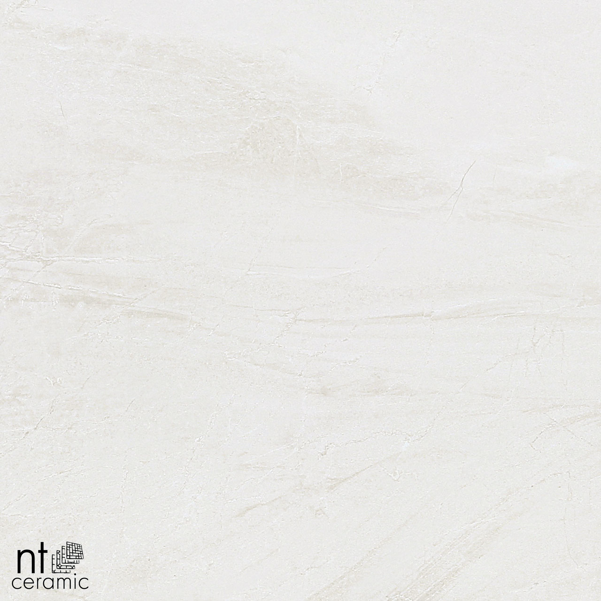 Керамогранит NT CERAMIC ZEUS ZS6NTT9701M