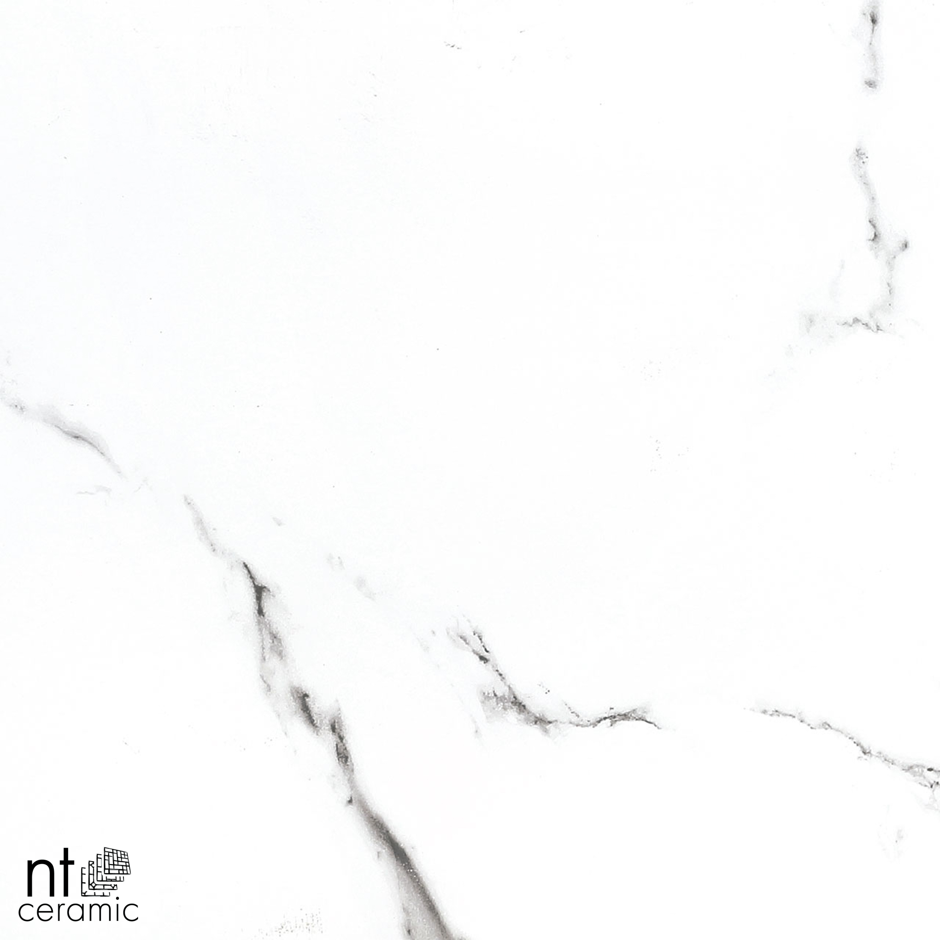 Керамогранит NT CERAMIC Statuario Infinity BB6NTT9100P