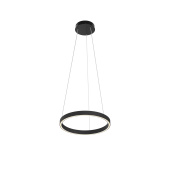 Подвесной светильник Maytoni MOD058PL-L22BK