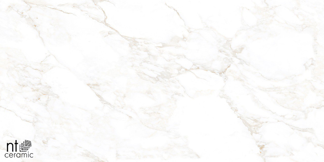 Керамогранит NT CERAMIC Marmo Marble Extra Endless mat NTT99526M