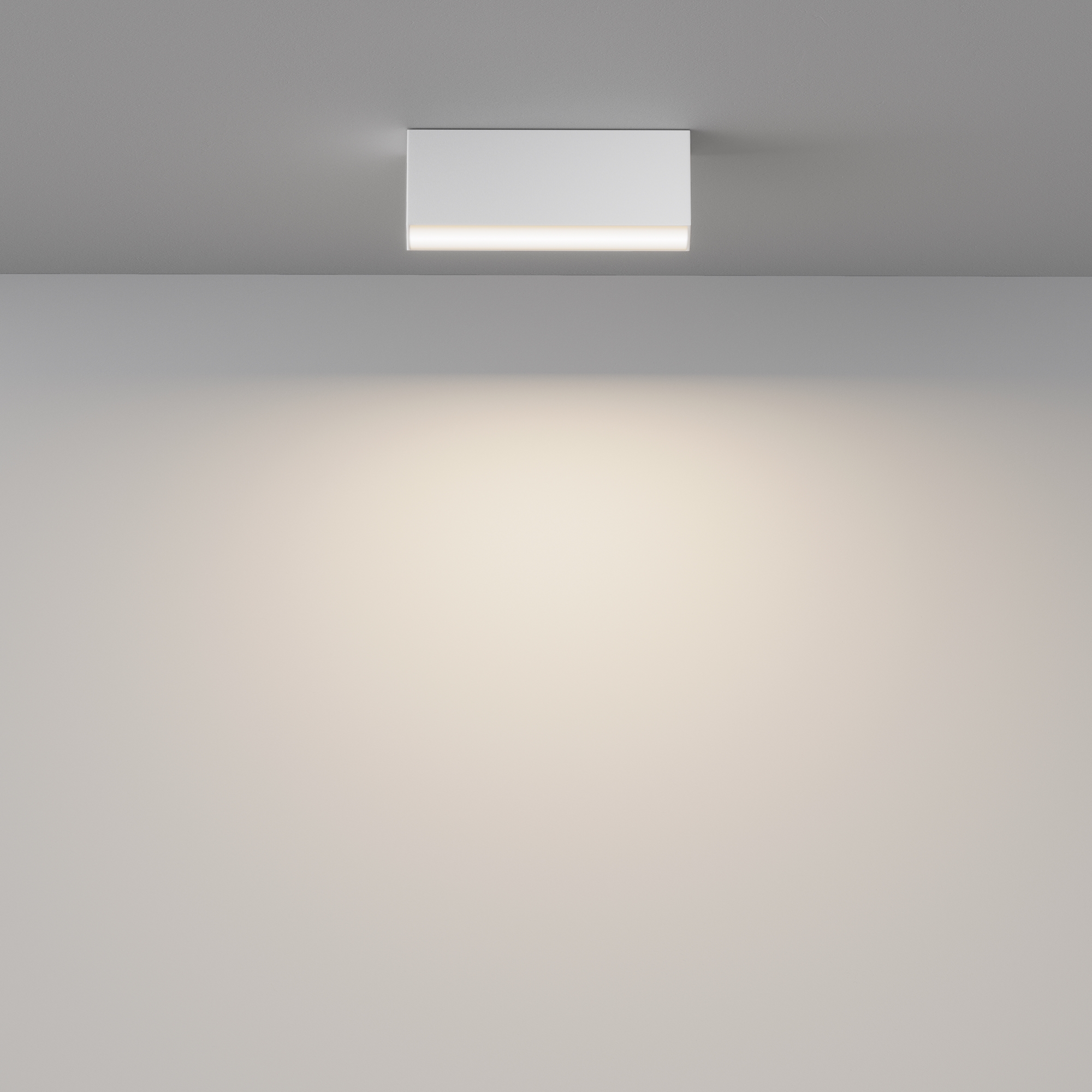 Потолочный светильник Technical C068CL-12W3-6K-W