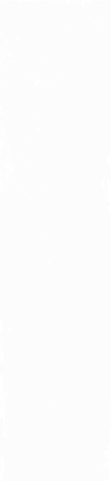 Плитка Magic White 5,85x24