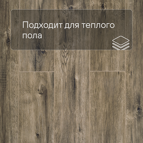 SPC Ламинат Stepton Essence 2016-5 Дуб Египетский