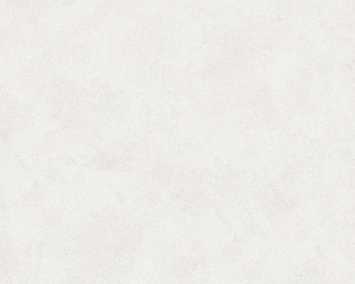 Керамогранит Buono Ceramica EMMA FIORE BASE MATT EVL4802M