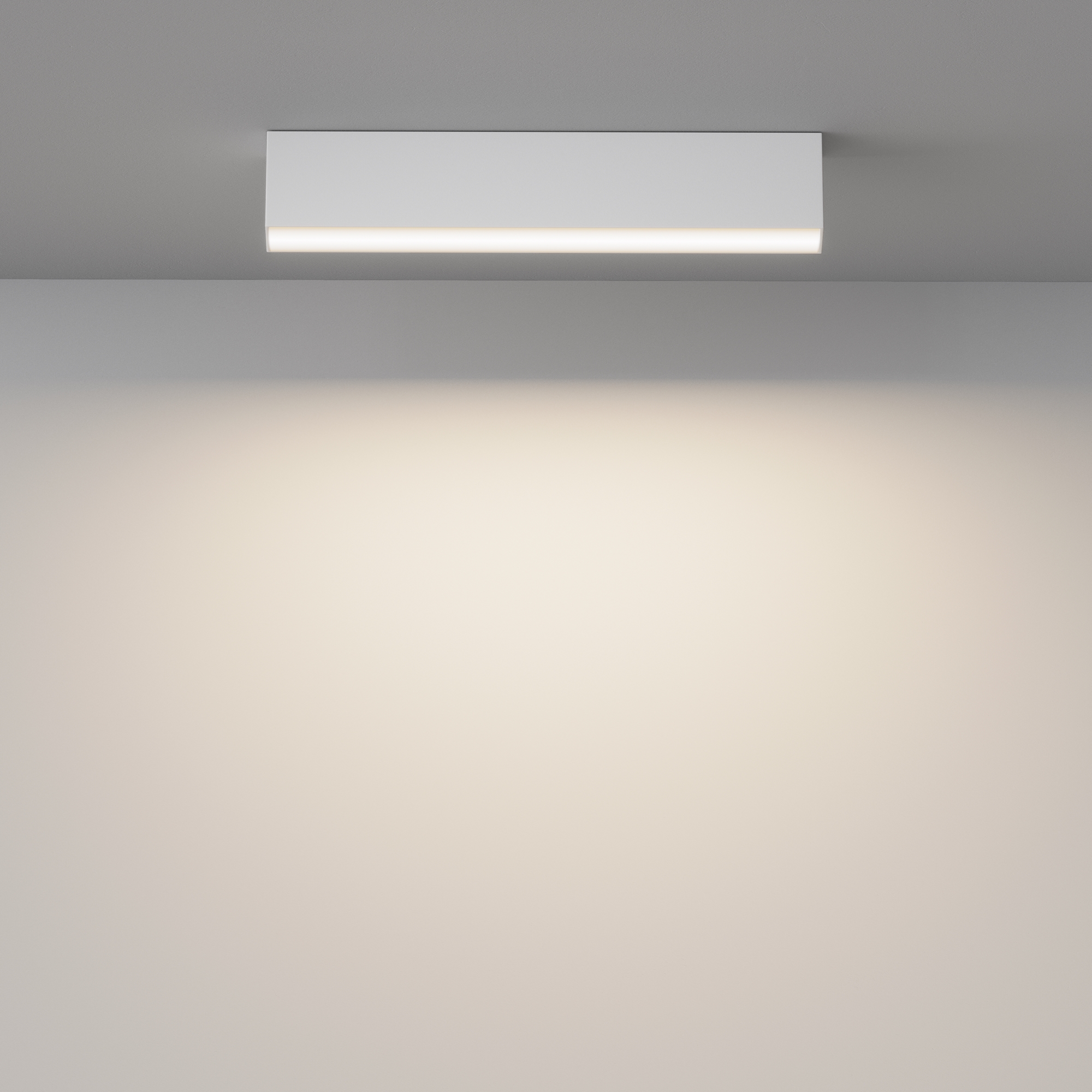 Потолочный светильник Technical C068CL-20W3-6K-W