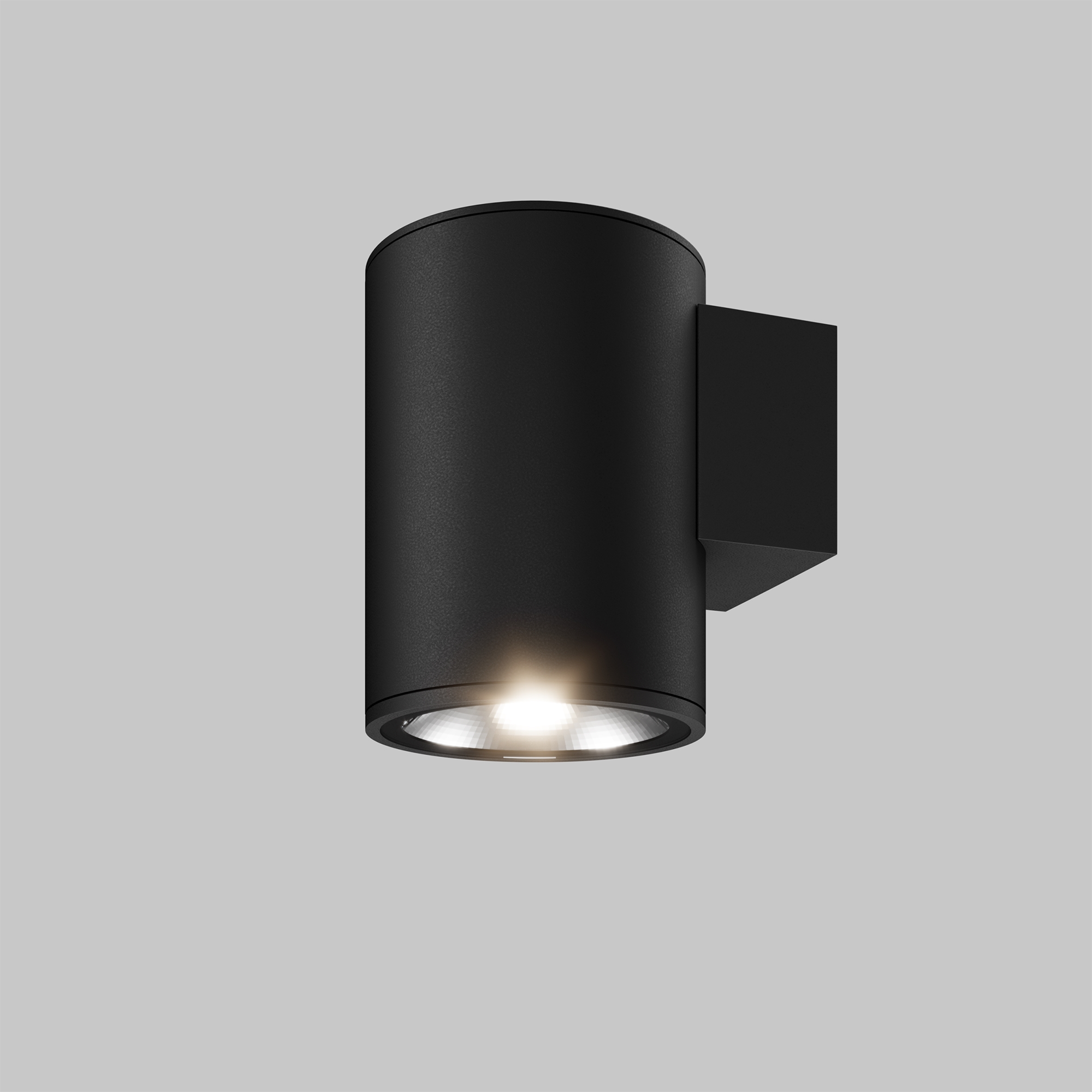 Уличный настенный светильник Outdoor O303WL-L5GF3K