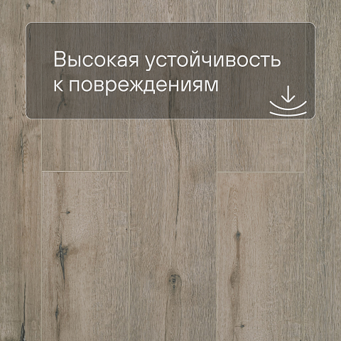 SPC Ламинат Stepton Essence 2002-2 Дуб Готика