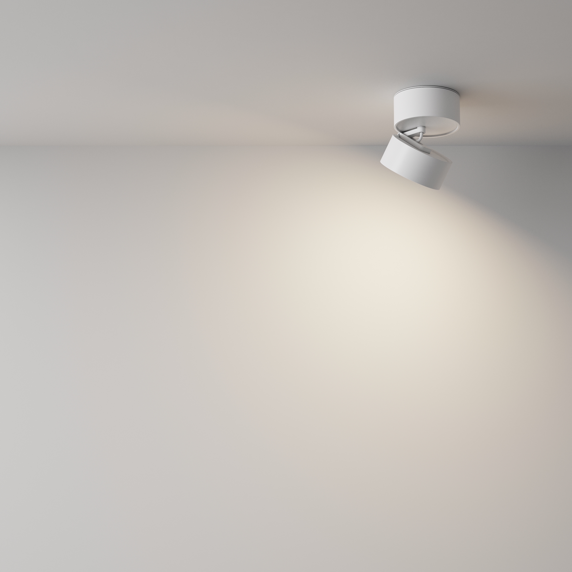 Потолочный светильник Technical C024CL-L12W4K