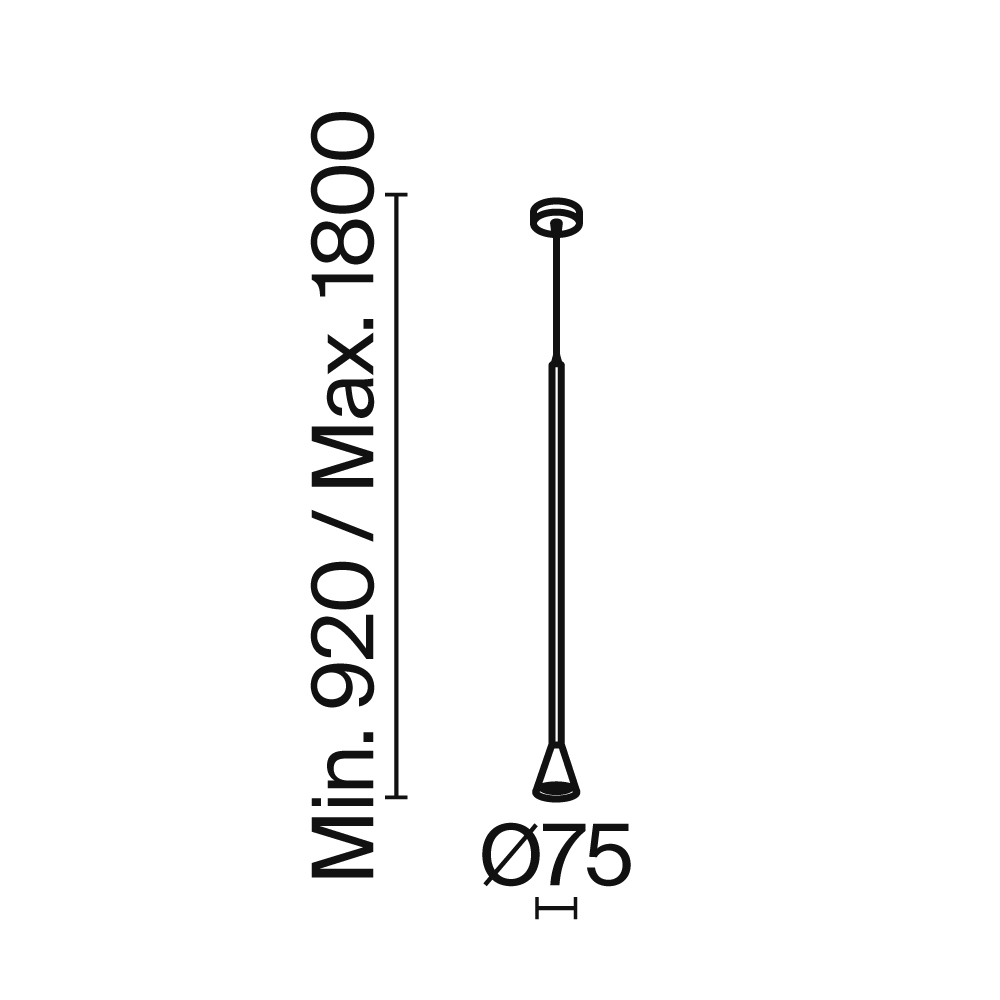 Подвесной светильник Maytoni P064PL-01W