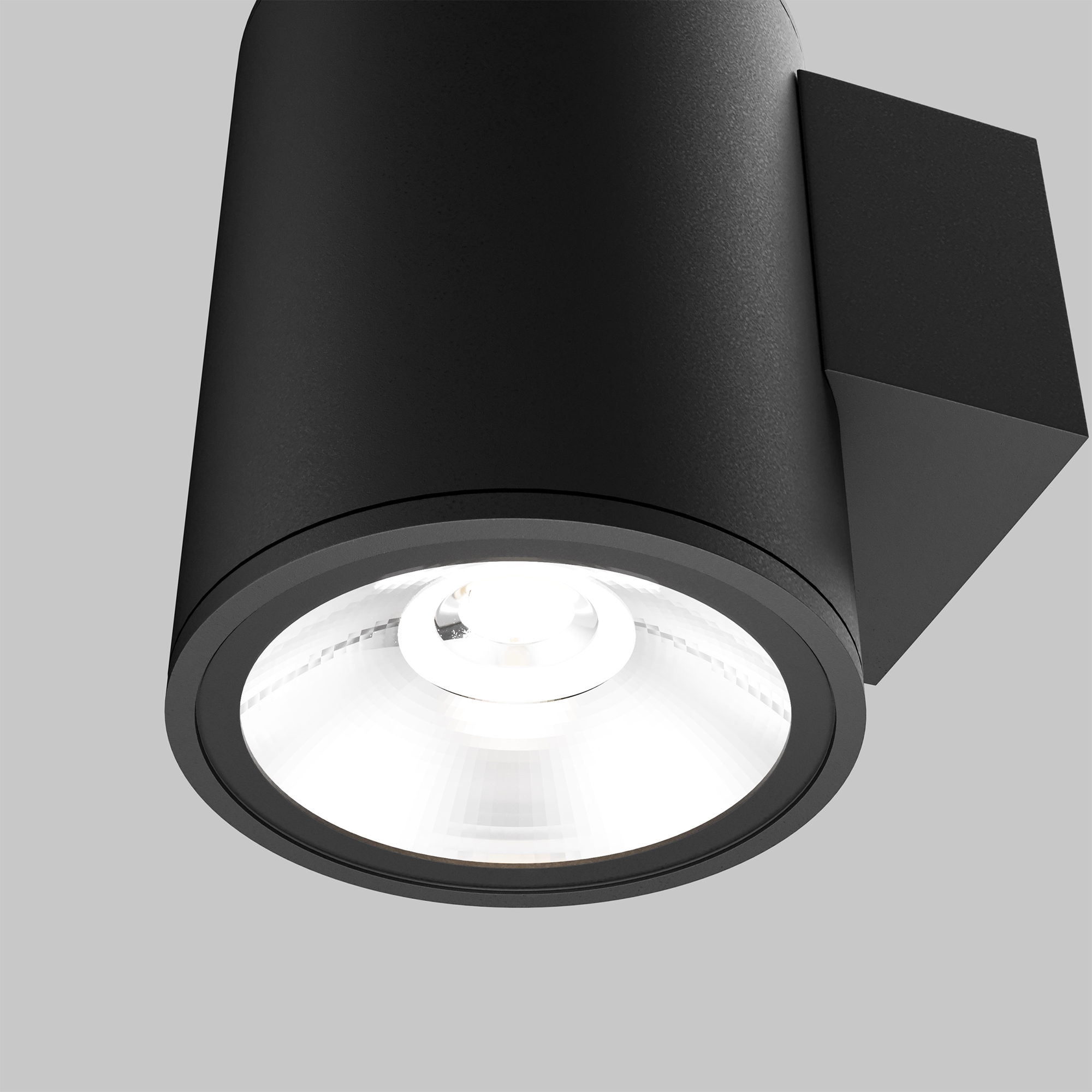 Уличный настенный светильник Outdoor O303WL-L5GF3K