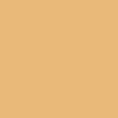 Керамогранит Poly Mustard 20х20 NEW