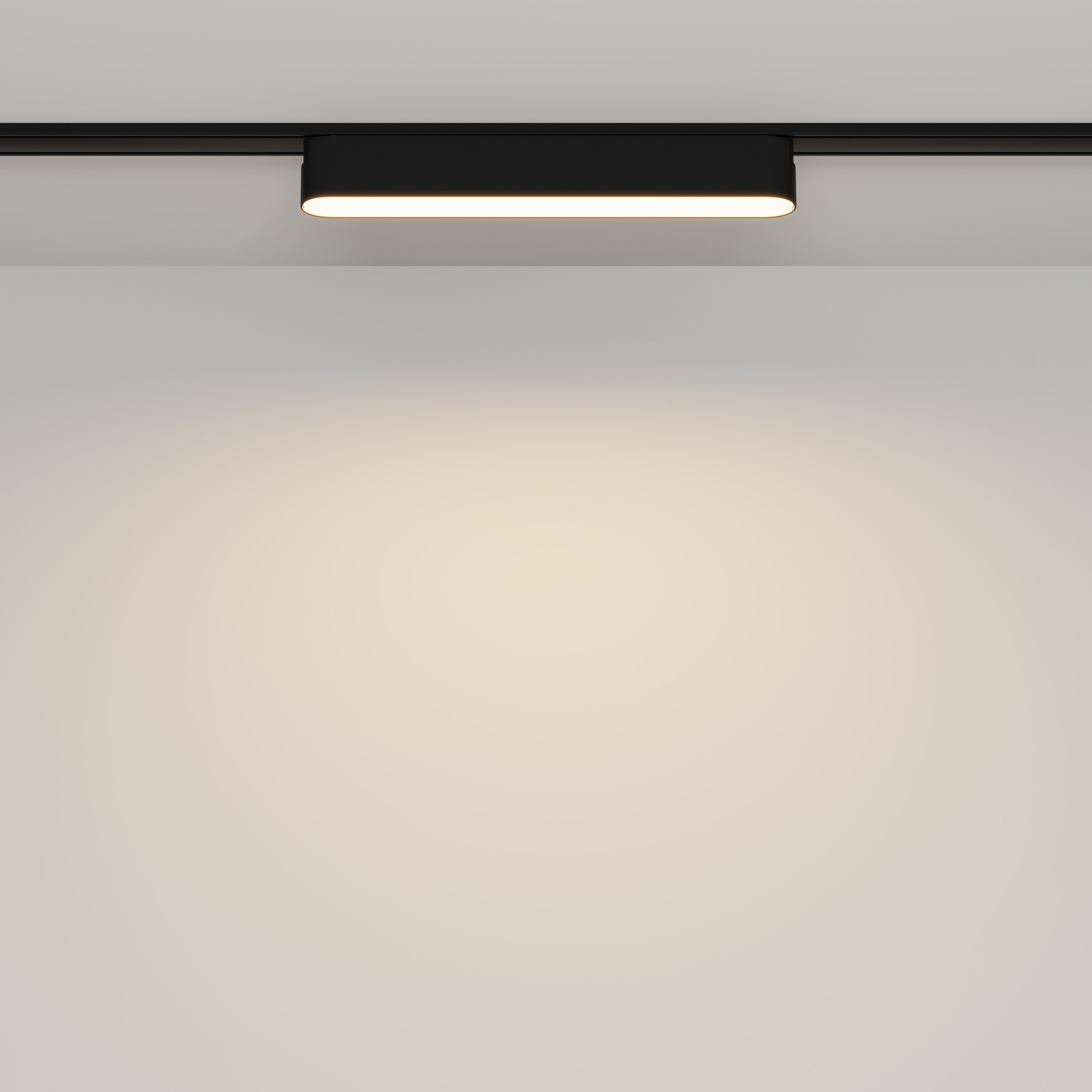 Трековый светильник Technical TR080-1-12W3K-B