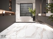 Керамогранит NT CERAMIC Bright and Shin Calacatta Light Grey mat NTT9120M