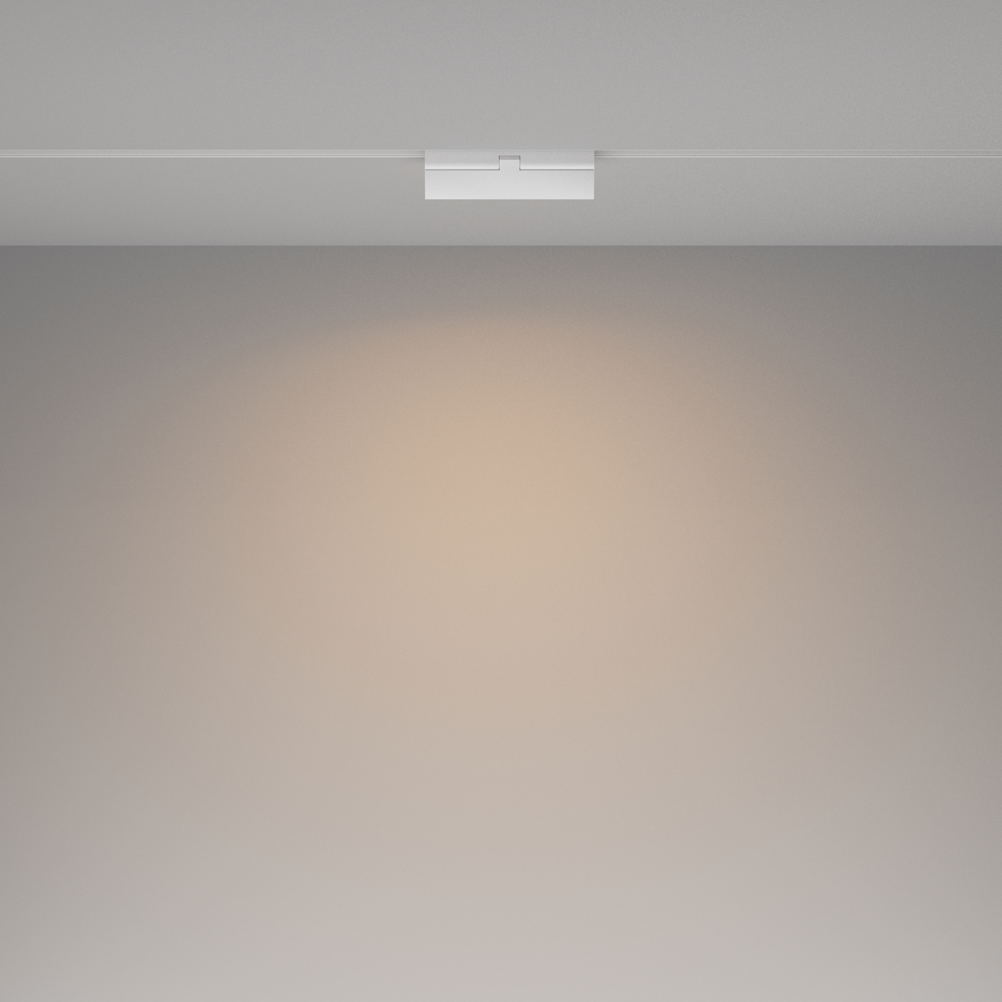 Трековый светильник Technical TR036-2-12W3K-W