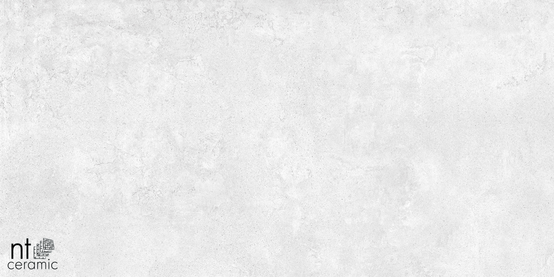 Керамогранит NT CERAMIC Cemento Zett Bianco NTT99600M