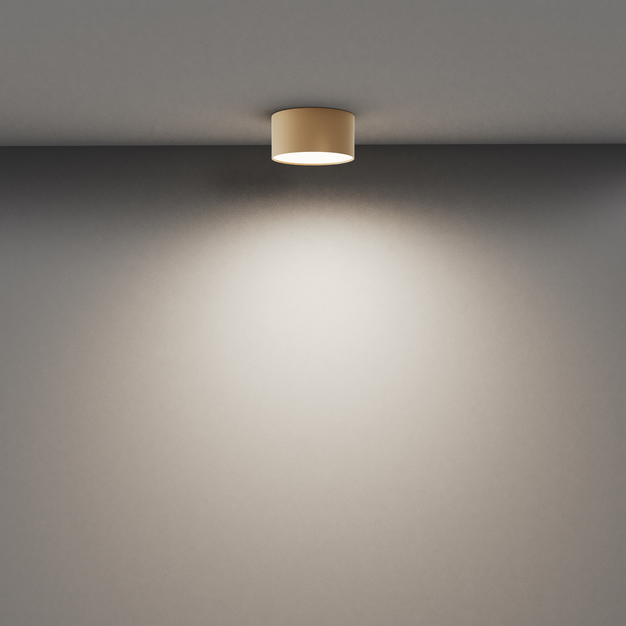 Потолочный светильник Technical C032CL-12W4K-RD-MG