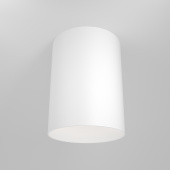 Потолочный светильник Technical C014CL-01W