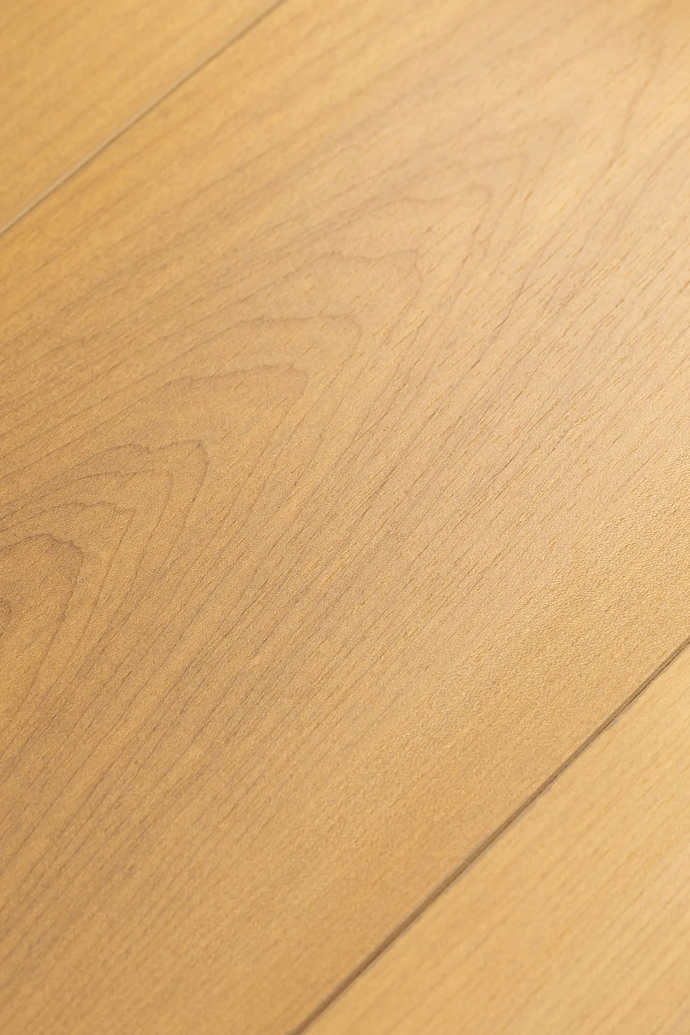 Ламинат Firstfloor Excellence Black Core 4D Дуб Ривьера 1F407