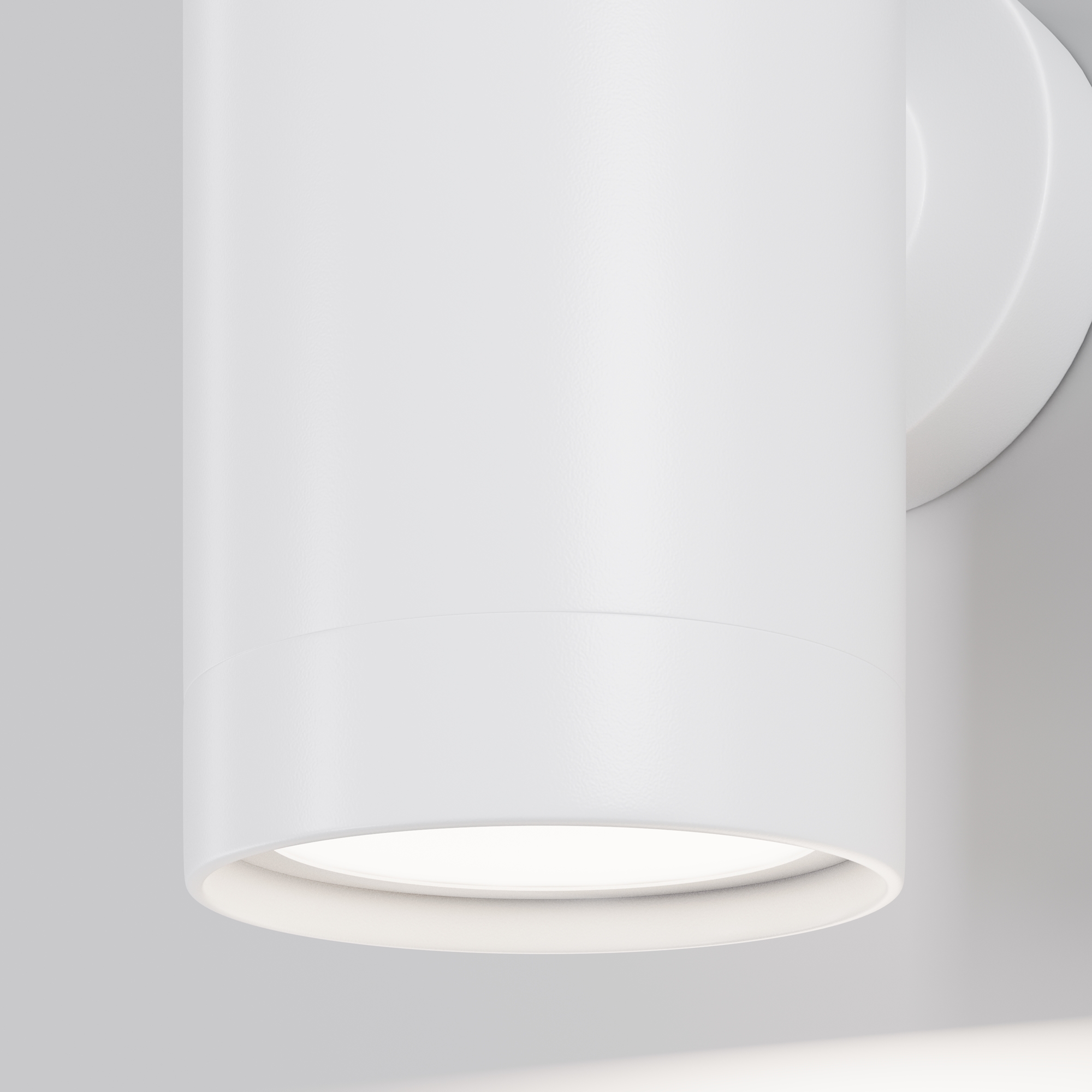 Настенный светильник (бра) Outdoor O493WL-01W