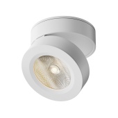 Потолочный светильник Maytoni Magic C022CL-L7W