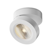 Потолочный светильник Maytoni Magic C022CL-L12W
