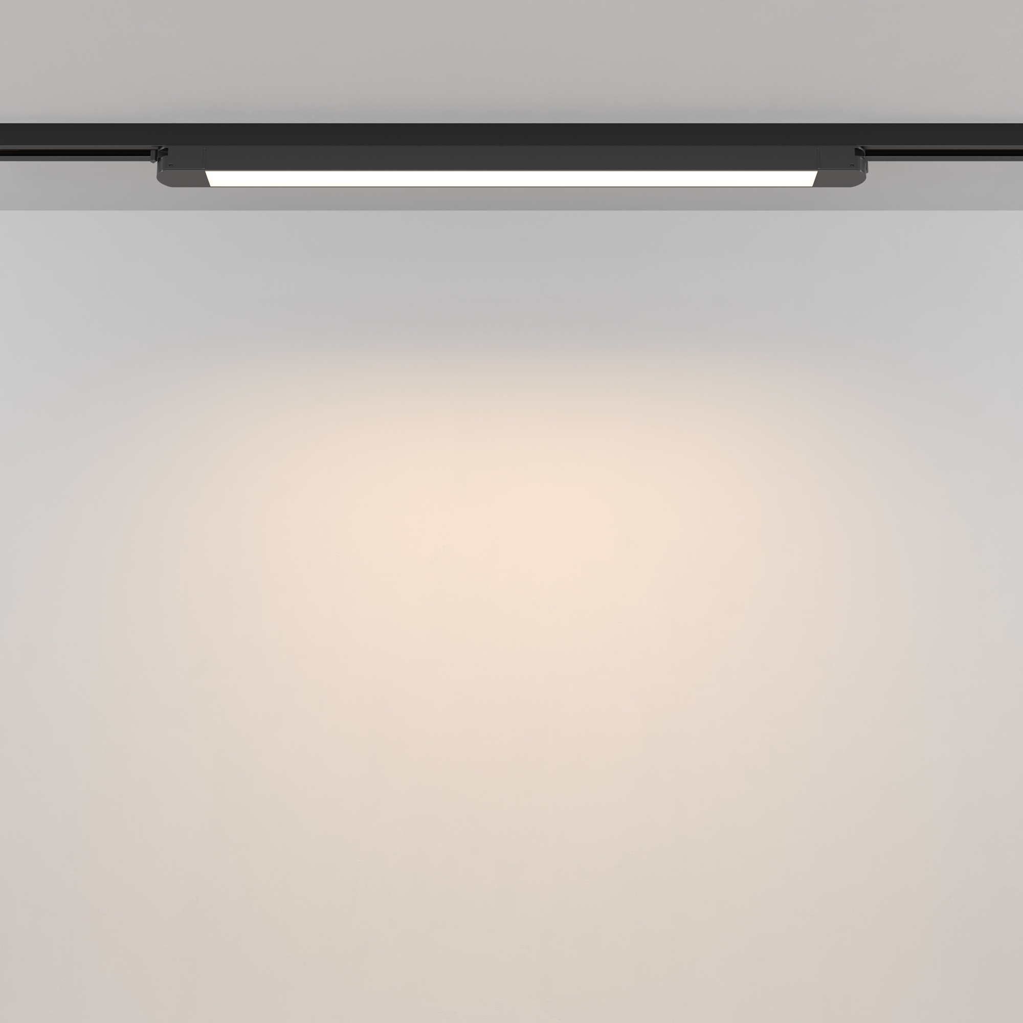 Трековый светильник Technical TR000-1-24W3K-B_1