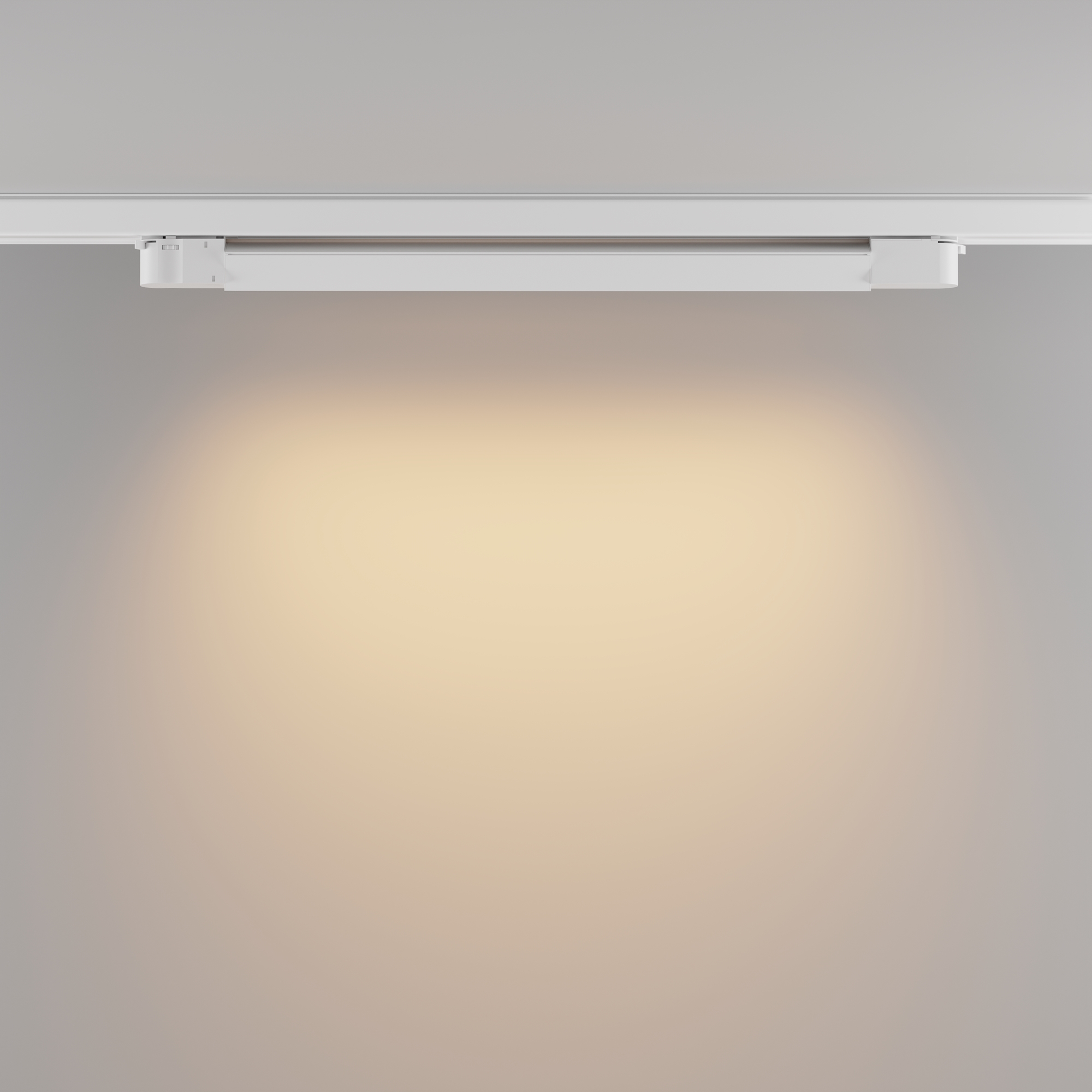 Трековый светильник Technical TR196-3-20W2.7K-W