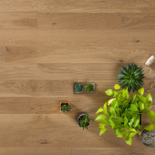 Паркетная доска Coswick Сиена натуральная 1135-3809-10