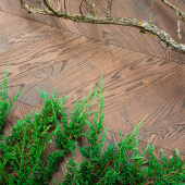 Coswick Французская елка 3-х слойная Молочный Шоколад 1134-4217-20