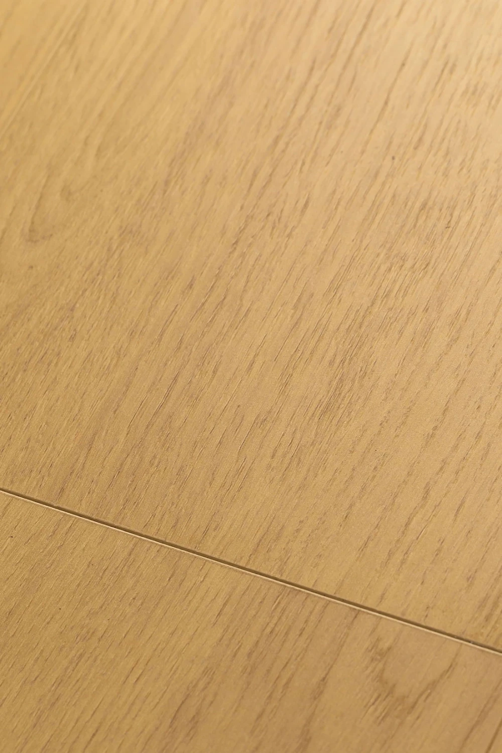 Ламинат Firstfloor PASSION MATT 3D Дуб Эква 1F315