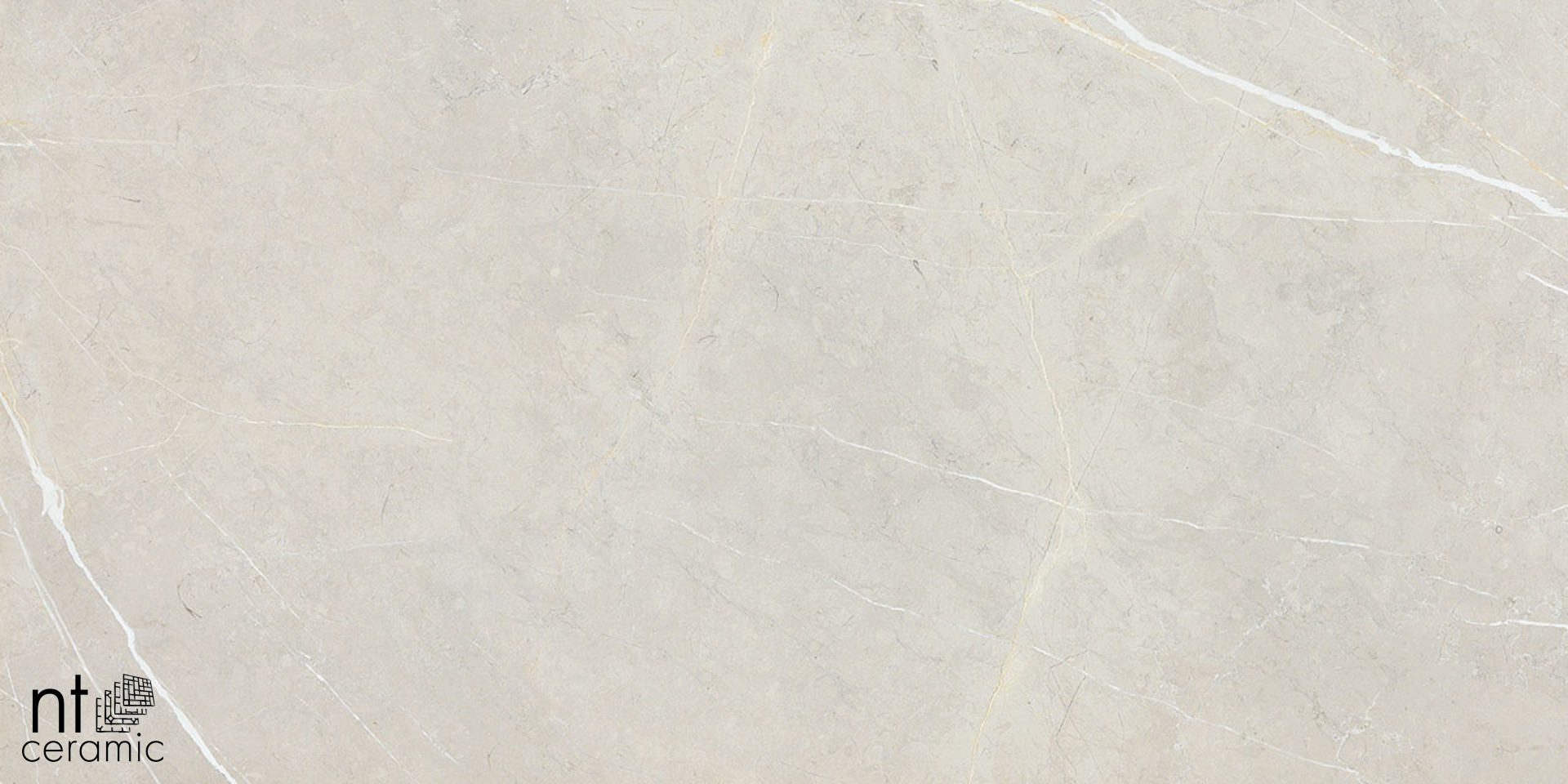 Керамогранит NT CERAMIC Bright and Shiny BB6NTT9101P