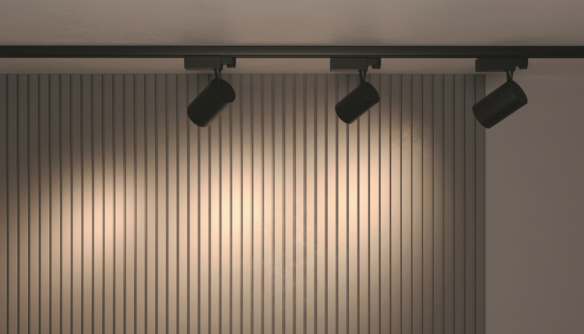 Трековый светильник Technical TR029-3-30W3K-B