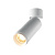 Потолочный светильник Technical C055CL-L12W2.7K-Z-W