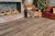 SPC Ламинат Alpine Floor ABA Grand Sequoia Superior ECO 11-803 Венге Грей 43 кл