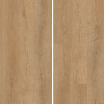 SPC Ламинат Evofloor  Home (Rus) Oak Honey