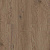 SPC Ламинат Norland Sigrid SPC (RUS) 1001-17-R Merian 4V