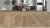 SPC Ламинат Evofloor  Home (Rus) Ash Light