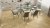 ПВХ-плитка Alpine Floor LVT Parquet ЕСО 16-3 Дуб Ваниль Селект 4V 43кл