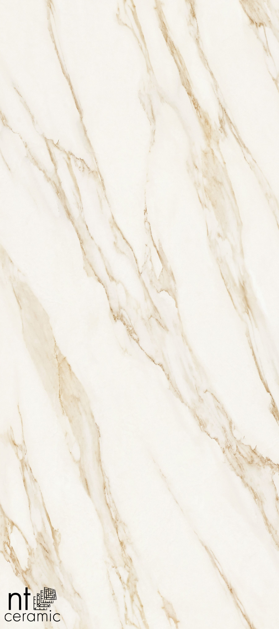 Керамогранит NT CERAMIC Atlas Home Arabesco Gold NTT3501L